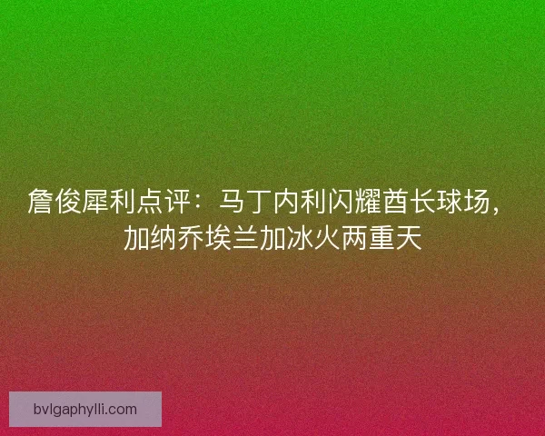 詹俊犀利点评：马丁内利闪耀酋长球场，加纳乔埃兰加冰火两重天