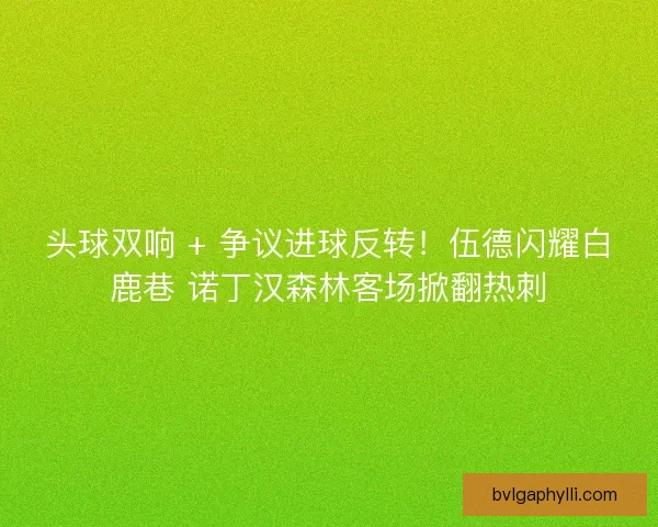 头球双响 + 争议进球反转！伍德闪耀白鹿巷 诺丁汉森林客场掀翻热刺