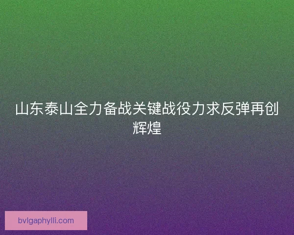 山东泰山全力备战关键战役力求反弹再创辉煌