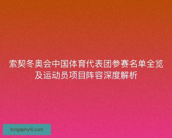 索契冬奥会中国体育代表团参赛名单全览及运动员项目阵容深度解析